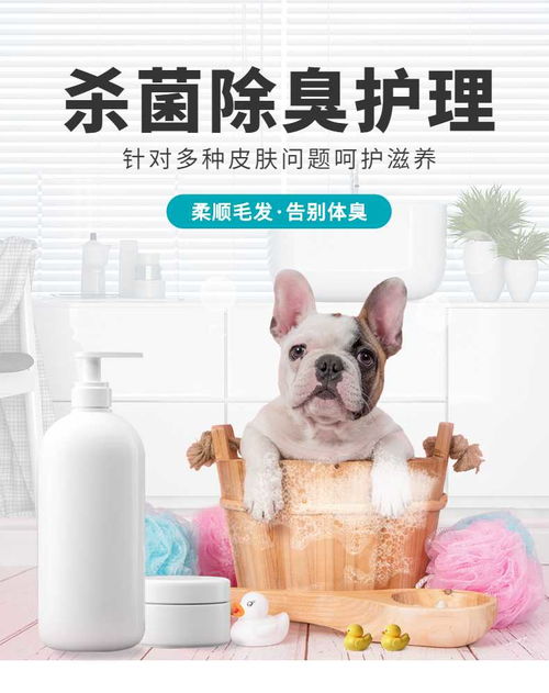 簡約設(shè)計(jì)，溫柔呵護(hù)——寵物洗護(hù)用品詳情頁 | 寵物全運(yùn)會(huì)聯(lián)名手機(jī)海報(bào)長圖