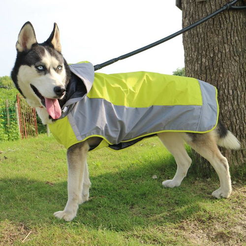 湯河店雙層大狗雨衣 寵物全運(yùn)會(huì)上的防寒沖鋒衣與時(shí)尚披風(fēng)