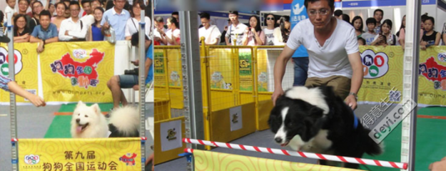 【武漢國際寵物產(chǎn)業(yè)博覽會(huì)】大型寵物嘉年華暨寵物全運(yùn)會(huì) 門票攻略與精彩亮點(diǎn)全解析