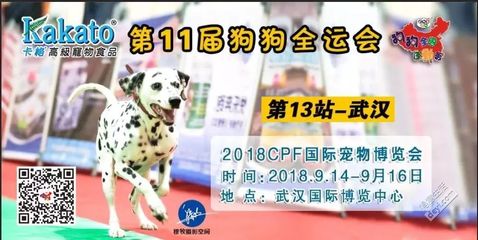 比《延禧攻略》更燃！2023 CPF武漢寵博會最全參觀攻略，帶你與愛寵樂翻天