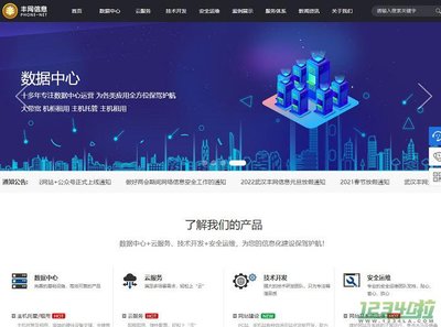 豐網信息與武漢網站開發 打造數字化未來的專業伙伴